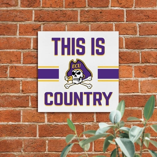 THIS IS PIRATE COUNTRY CANVAS WALL SIGN