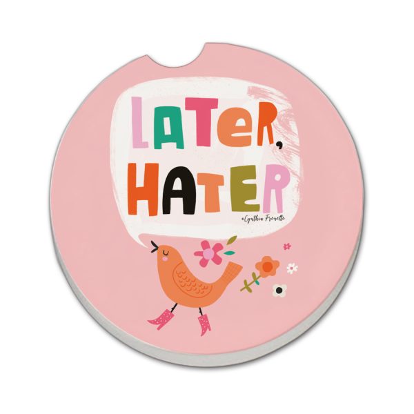 LATER HATER CAR COASTER