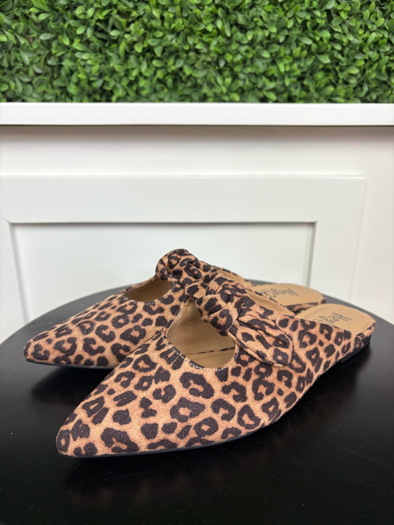 KNOTTY BUT NICE - LEOPARD