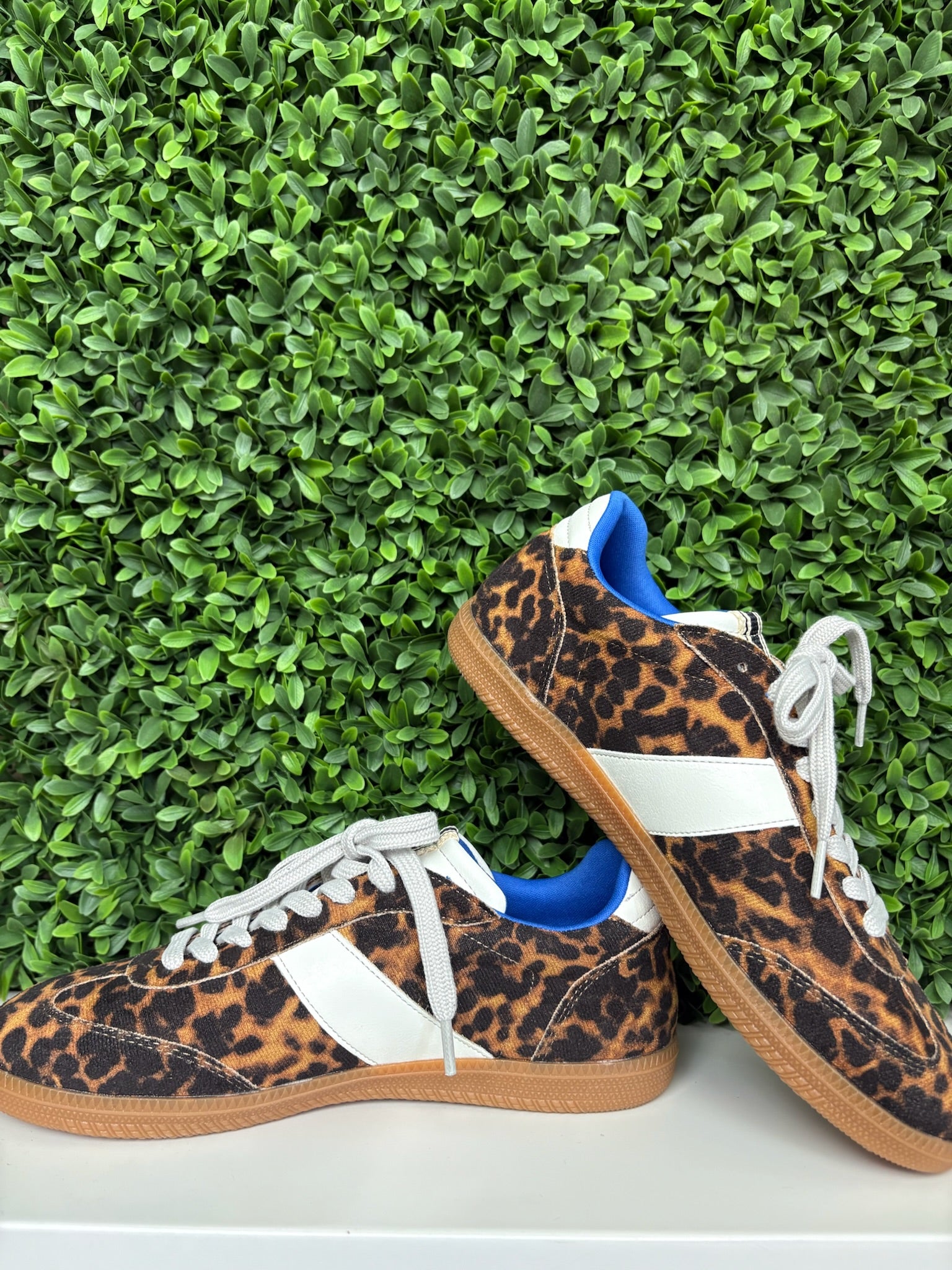 SYDNEY SNEAKER - LEOPARD