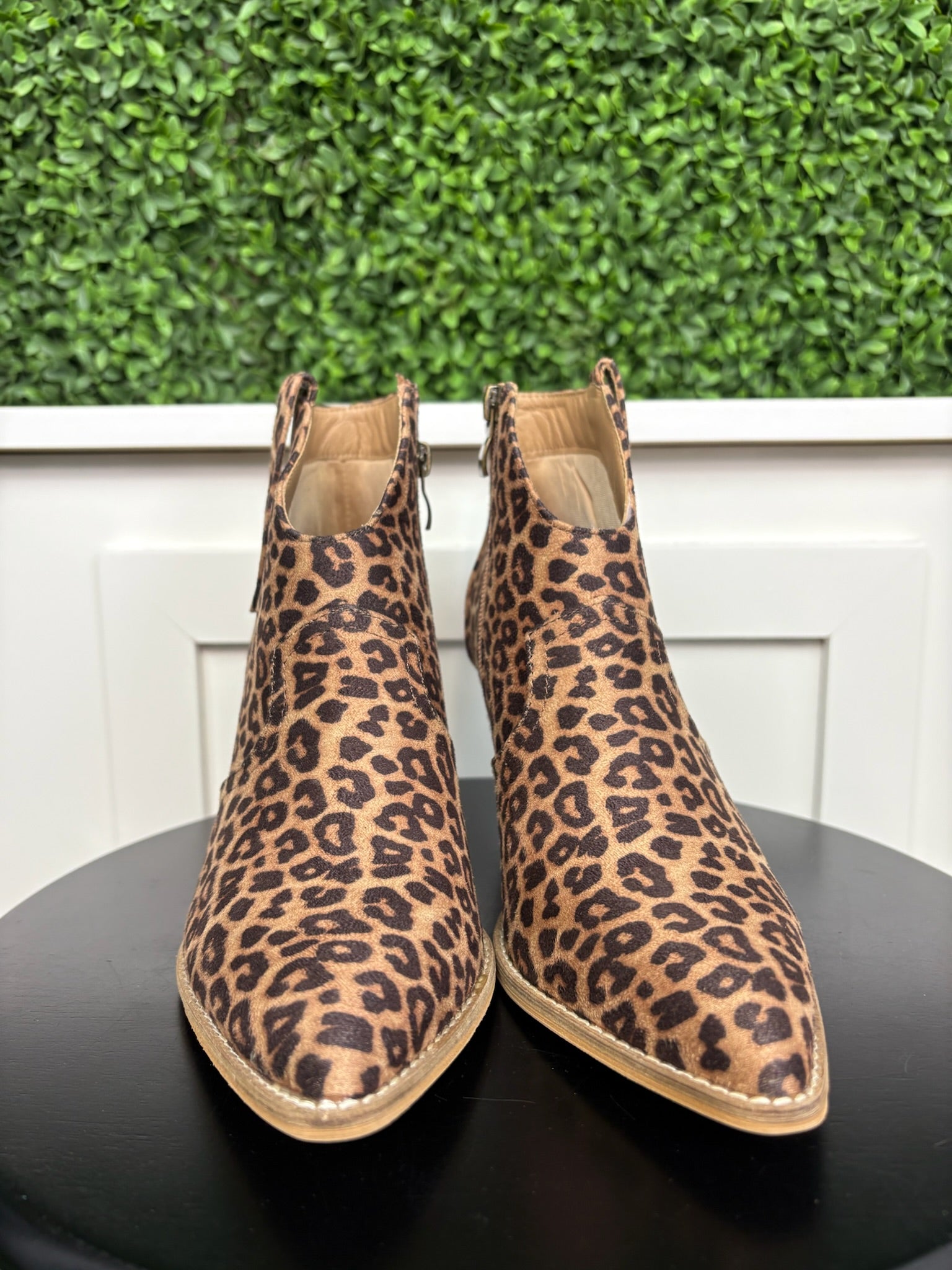 BAR HOPPIN - LEOPARD