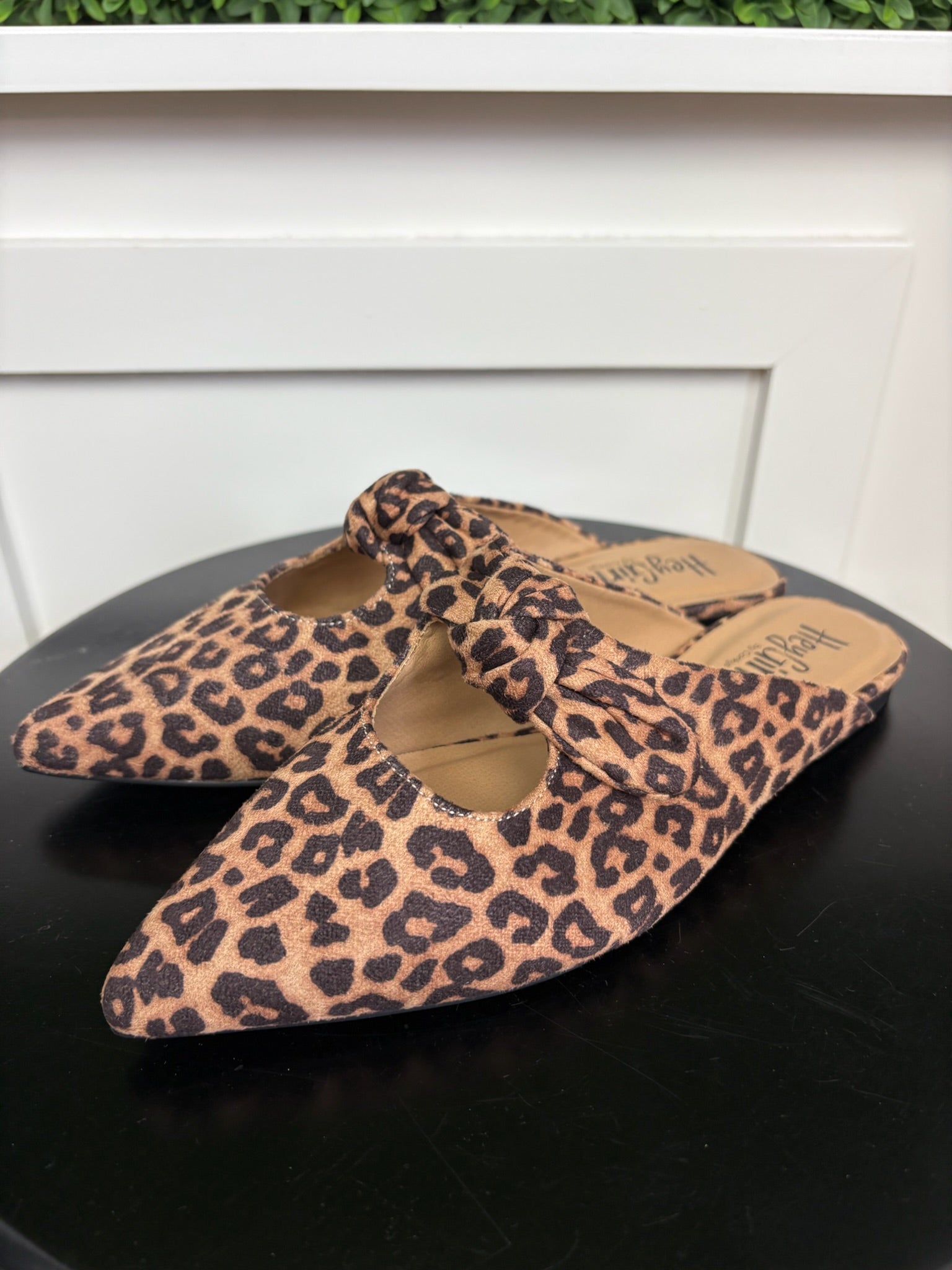 KNOTTY BUT NICE - LEOPARD