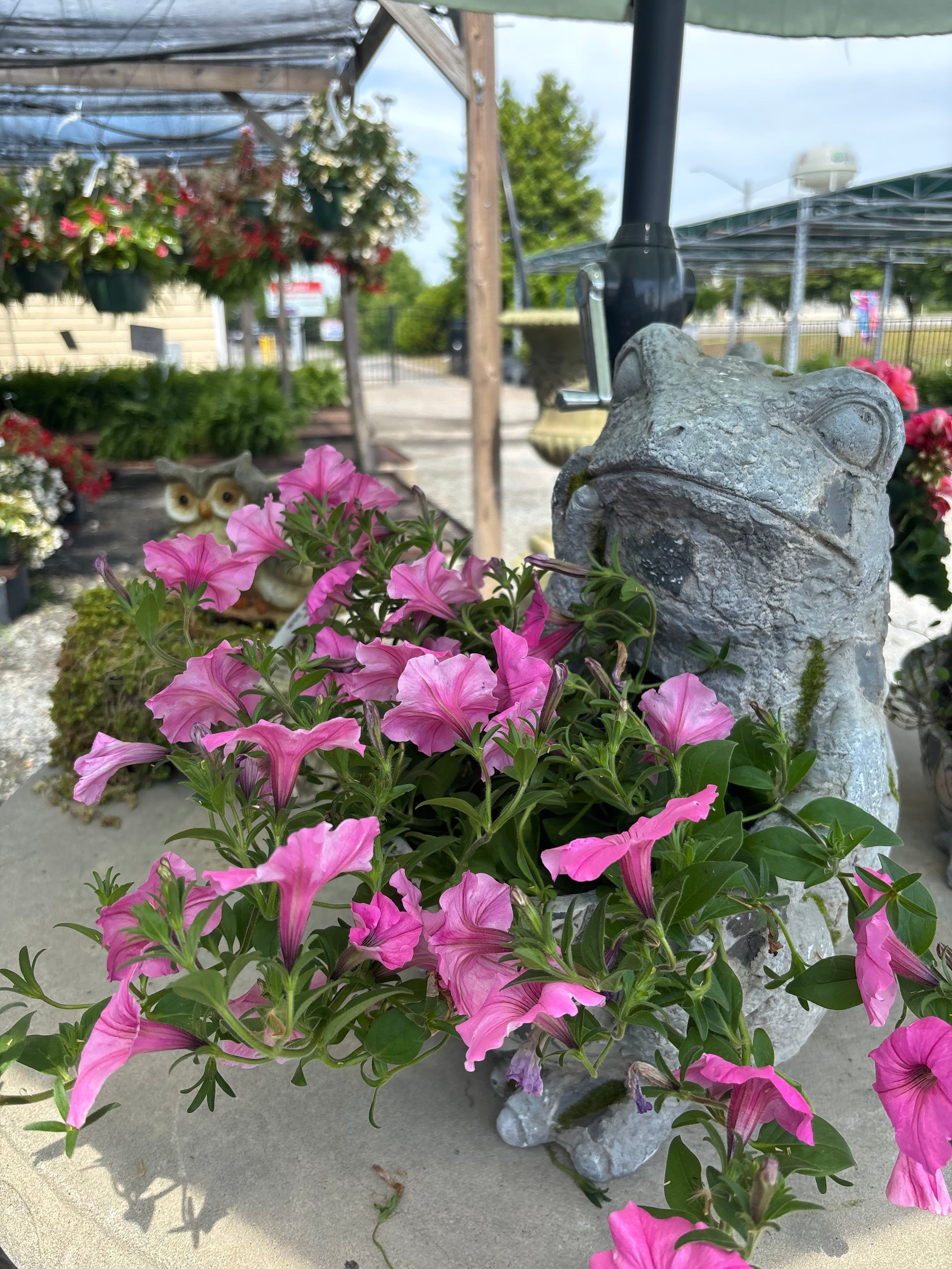 DIG, DINE & DESIGN EVENT TICKET