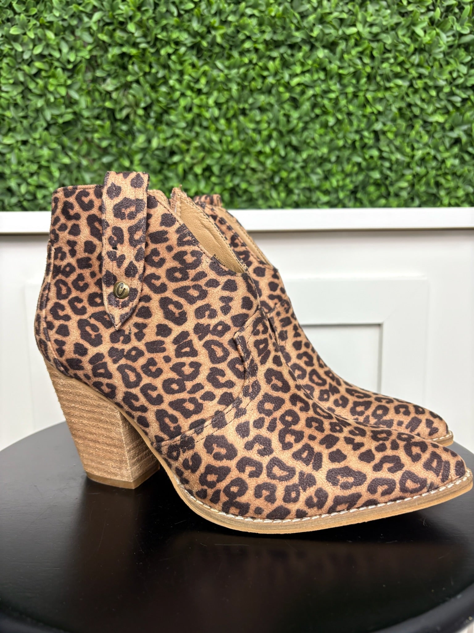 BAR HOPPIN - LEOPARD