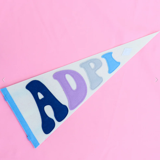 RAINBOW PENNANT FLAG