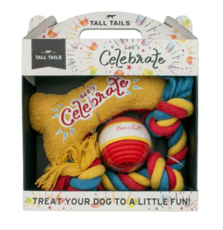 LET'S CELEBRATE BOXED 3-PIECE TOY BUNDLE