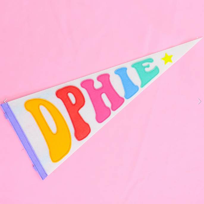 RAINBOW PENNANT FLAG