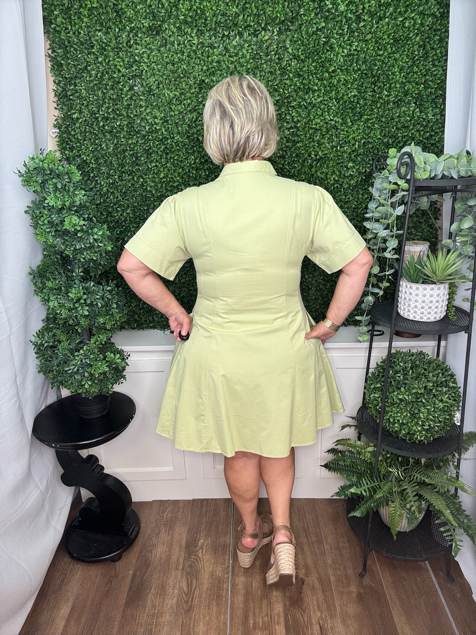 Tailored Collar Poplin Dress