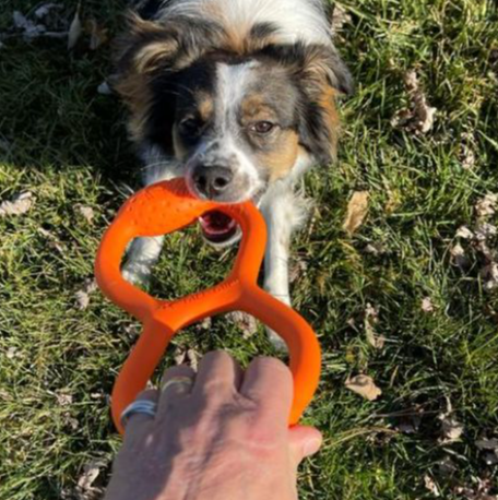 GOAT RUBBER TUG TOY