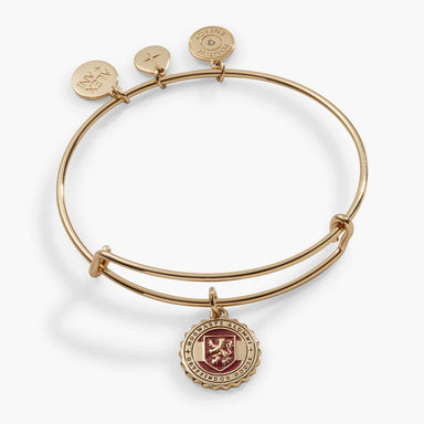 A Squared: My Favorite Things: Alex + Ani Bangles
