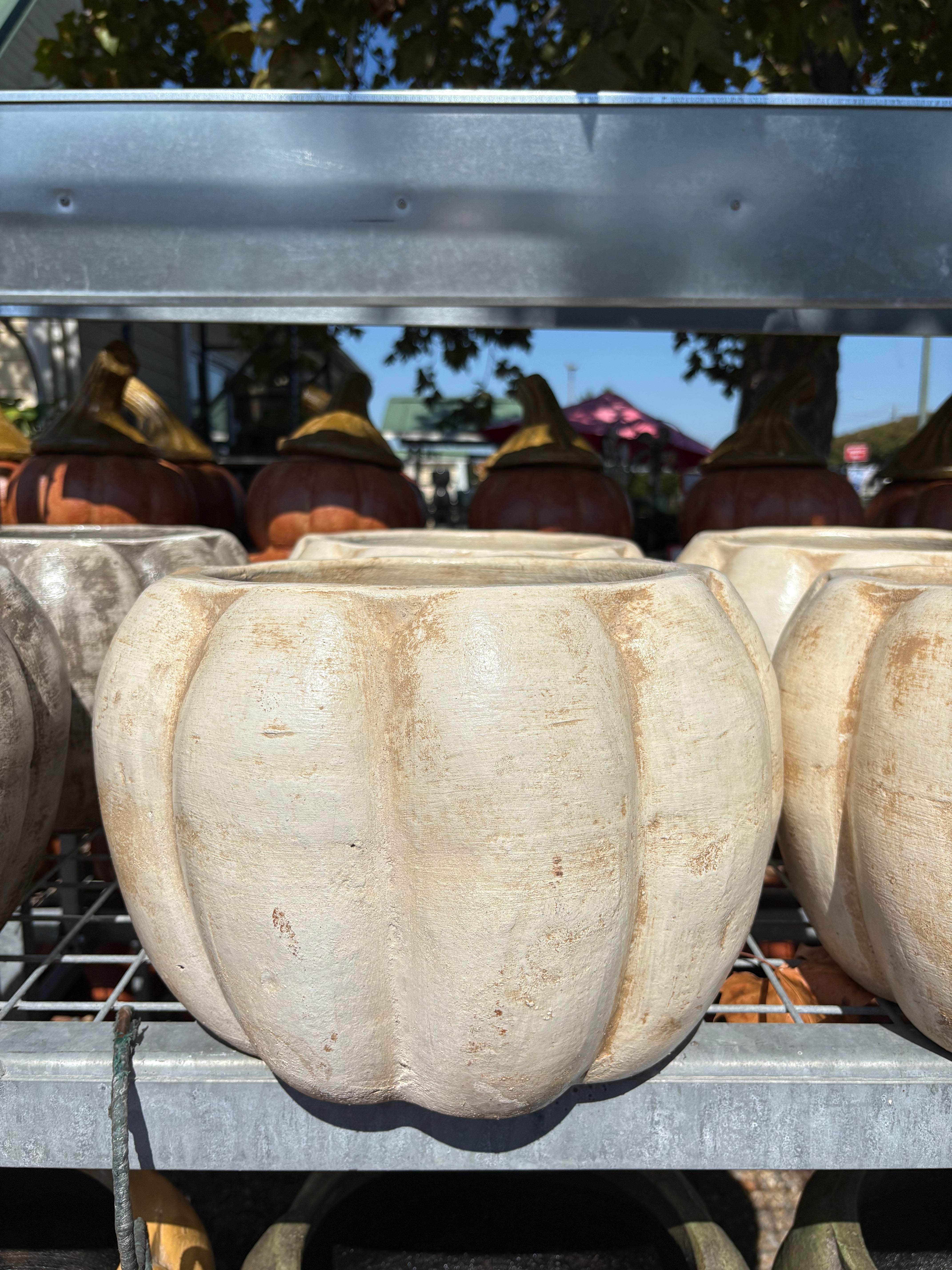 COLORFUL PUMPKIN PLANTER 9.5"HX14"W