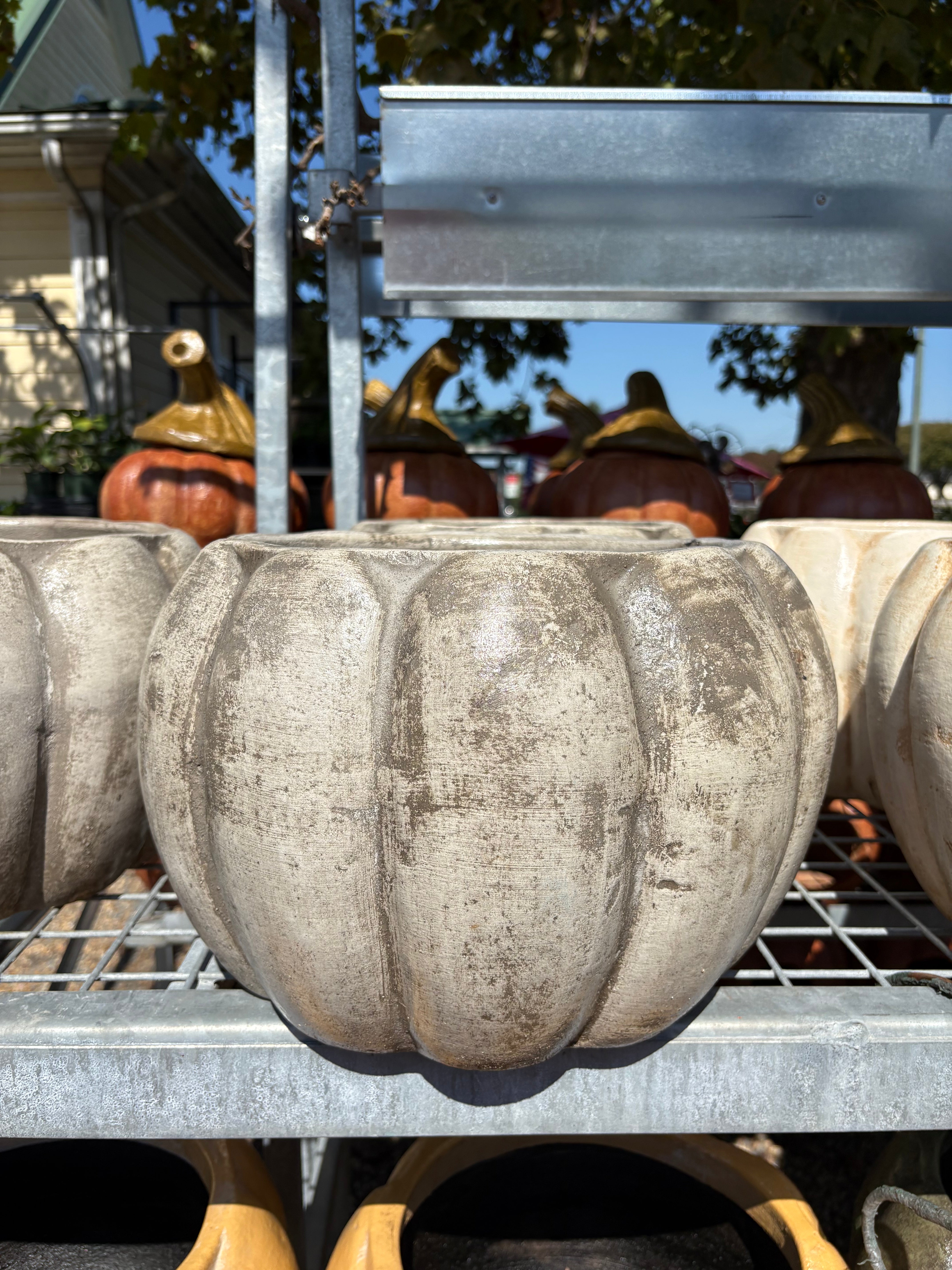 COLORFUL PUMPKIN PLANTER 9.5"HX14"W