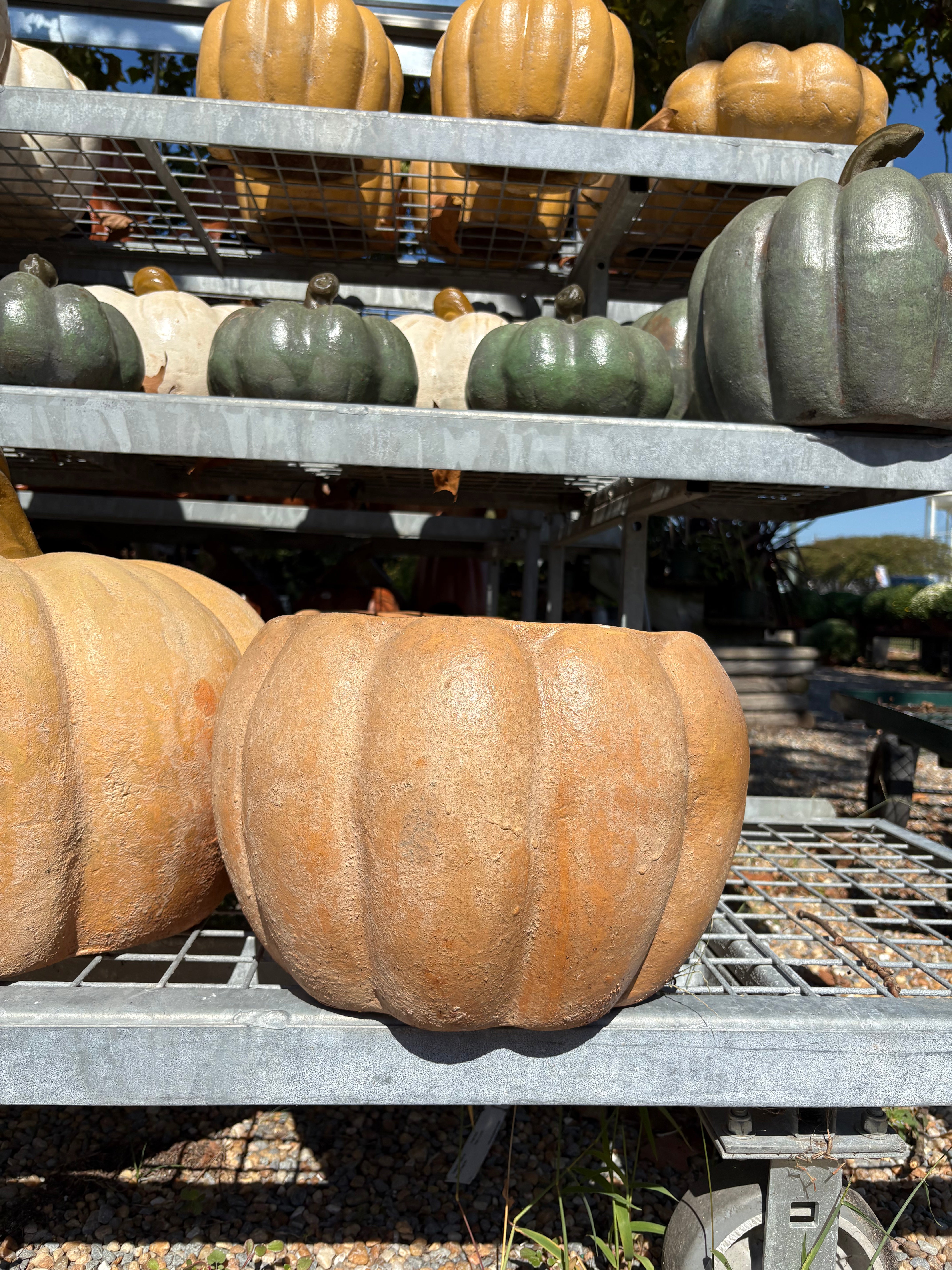 COLORFUL PUMPKIN PLANTER 9.5"HX14"W