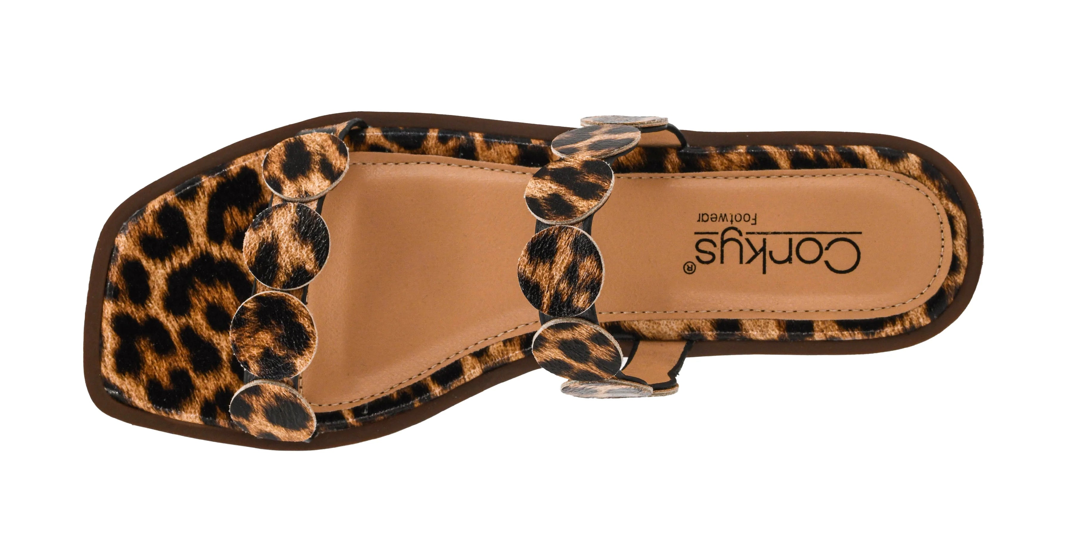 ROUND OF APPLAUSE - LEOPARD