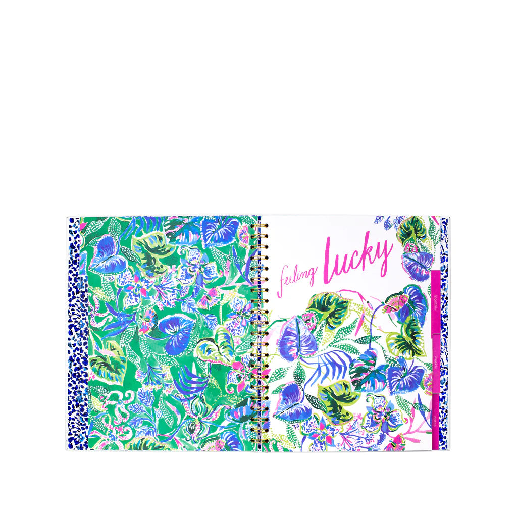 UNDATED WEEKLY PLANNER - HAVE IT BOTH RAYS