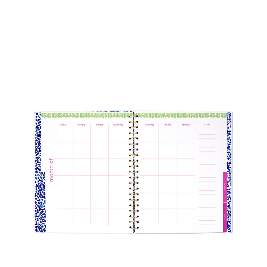 UNDATED WEEKLY PLANNER - HAVE IT BOTH RAYS