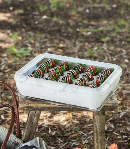 FANCY PANZ CLASSIC MARBLE