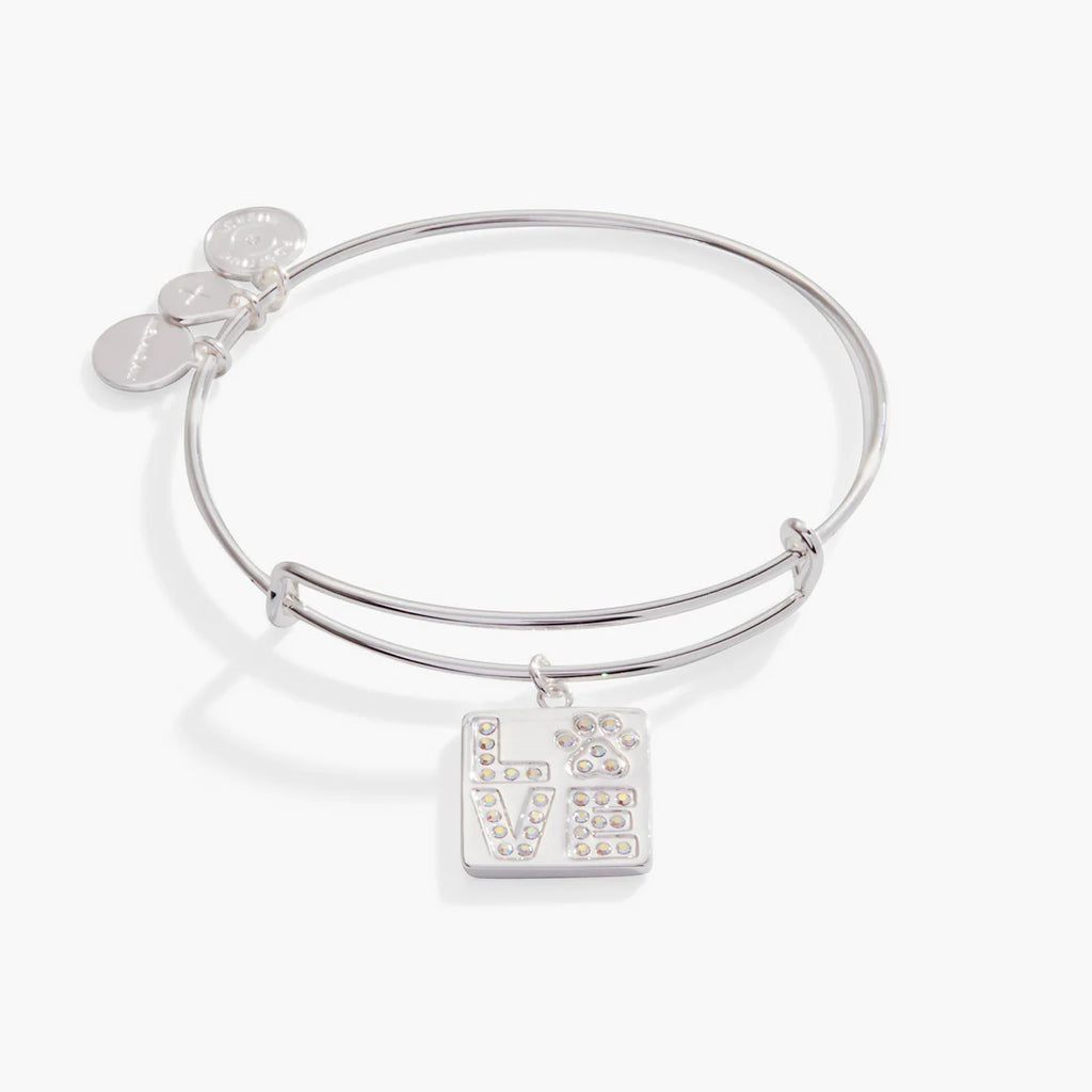 Alex and ani 2019 2025 graduation cap charm bangle