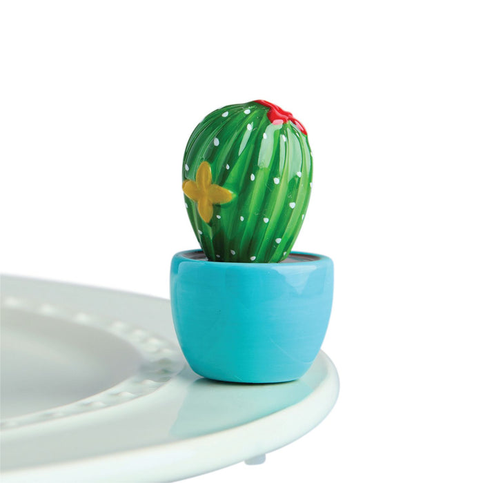 CAN'T TOUCH THIS CACTUS MINI